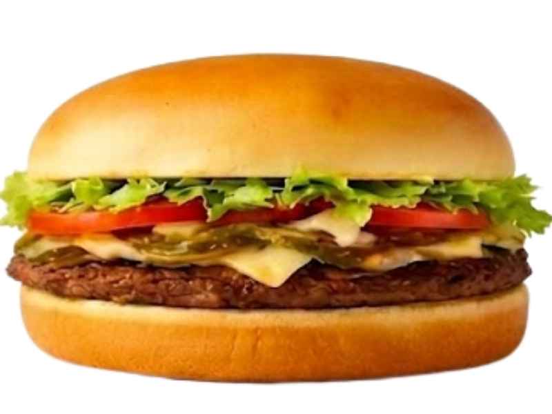 diced onions, and mustard on a toasted five-inch bun – 590 calories